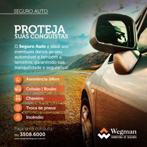 SEGURO_AUTO_WEGMAN